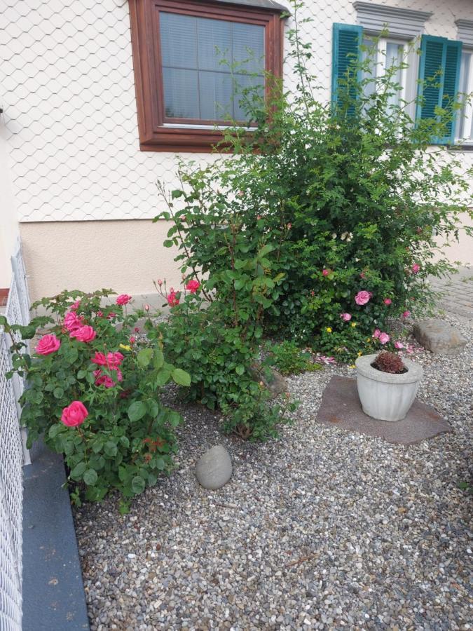 Ferienhaus Und Ferienappartements Brunner Hoechst Ngoại thất bức ảnh